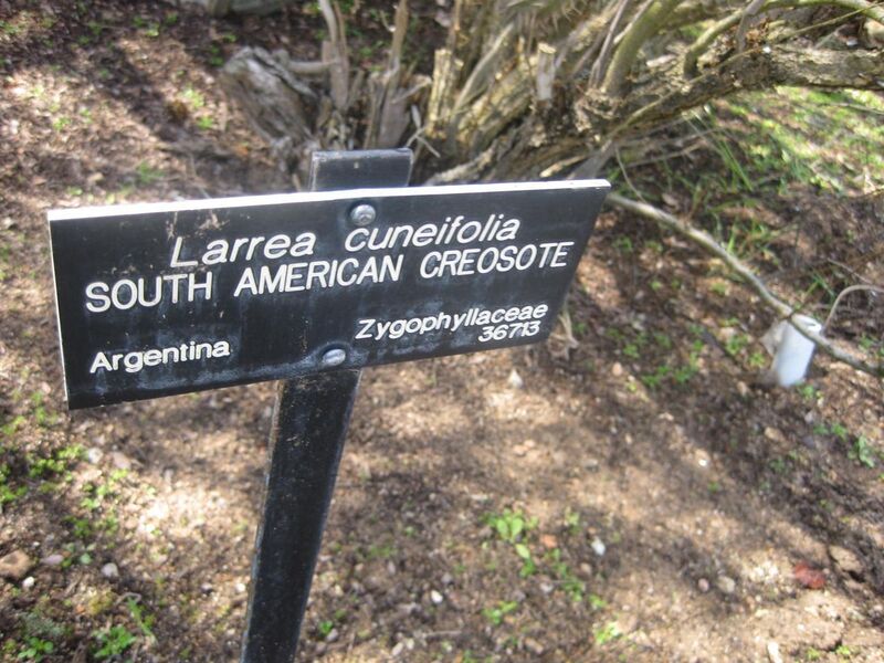 File:1280px-IMG 2322 hunt0903.jpg