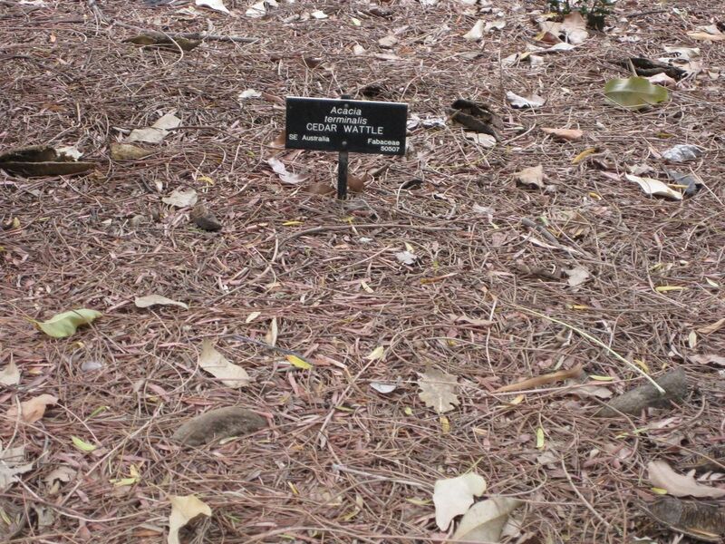 File:1280px-IMG 4763 hunt0904.jpg