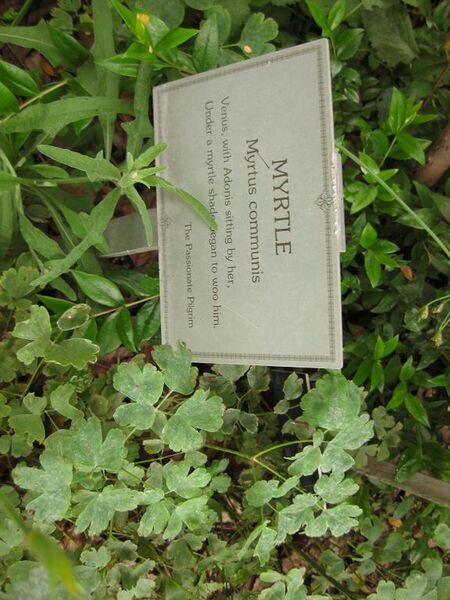 File:576px-IMG 6895 hunt09jun.jpg