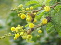 Thumbnail for version as of 09:34, 29 April 2025
