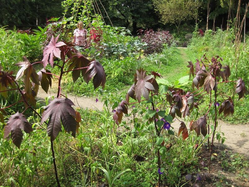 File:1024px-IMG 0622 bbg09.jpg