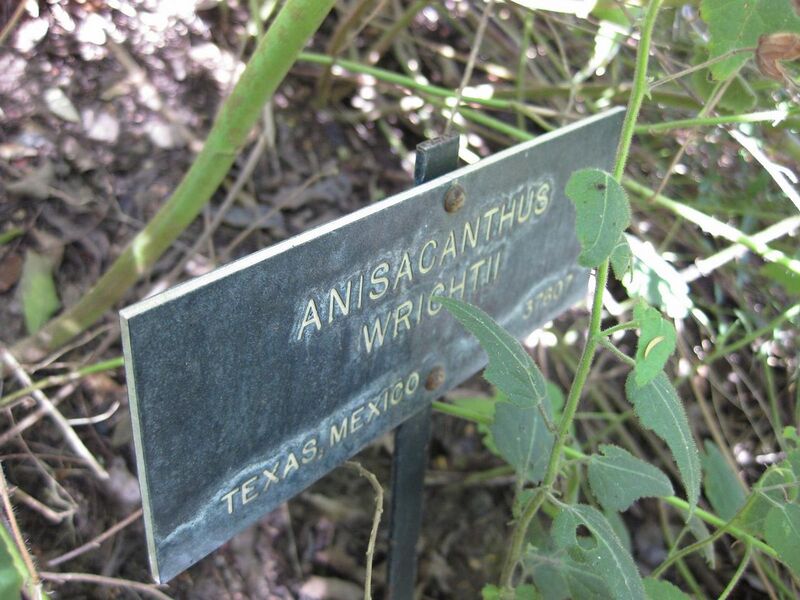 File:1280px-IMG 1972 hunt09oct.jpg