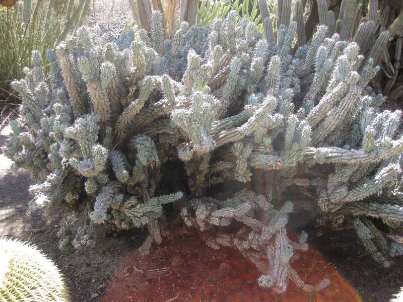 File:1280px-IMG 2231 hunt0903.jpg