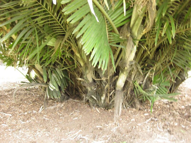 File:1280px-IMG 4086 hunt0904.jpg