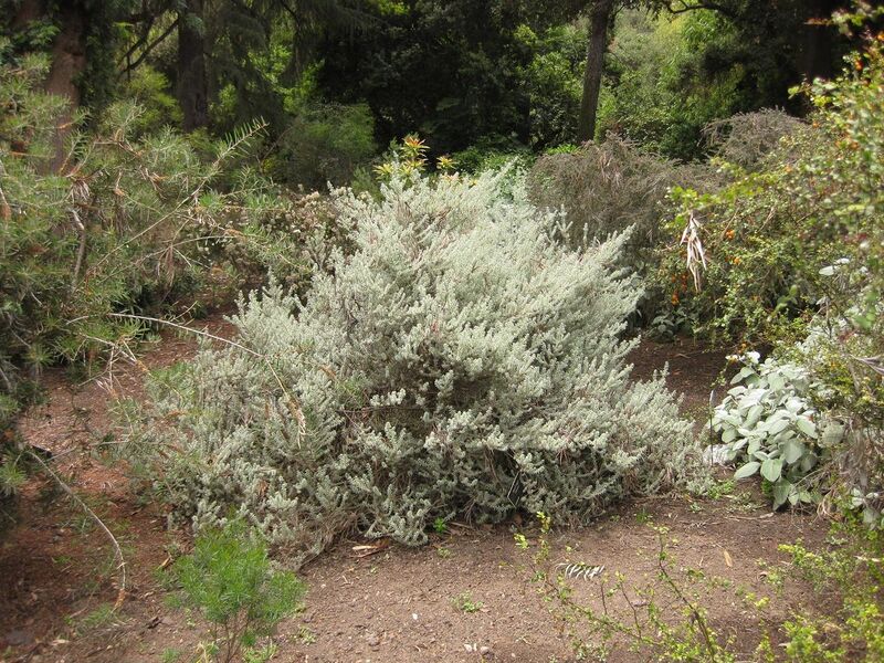 File:1280px-IMG 7265 hunt09jun.jpg