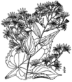 Thumbnail for version as of 10:01, 29 April 2025