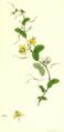 Thumbnail for version as of 09:12, 29 April 2025