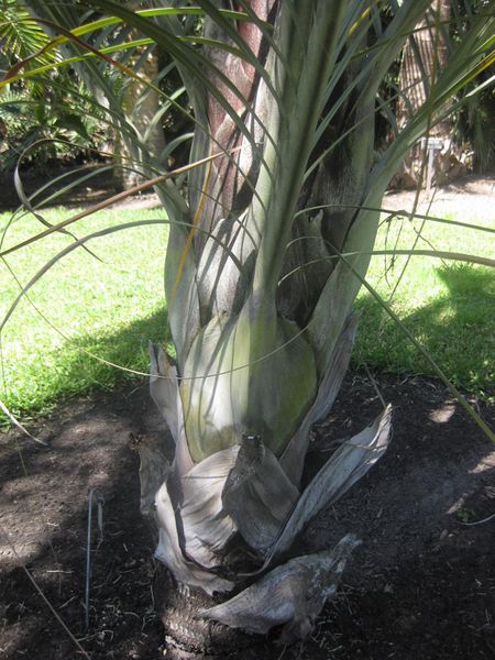 File:IMG 2084 hunt0903.jpg