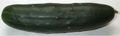A Marketmore Ridge cucumber.