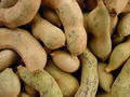 Thumbnail for version as of 06:39, 4 November 2007