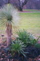 Thumbnail for version as of 23:20, 12 March 2009