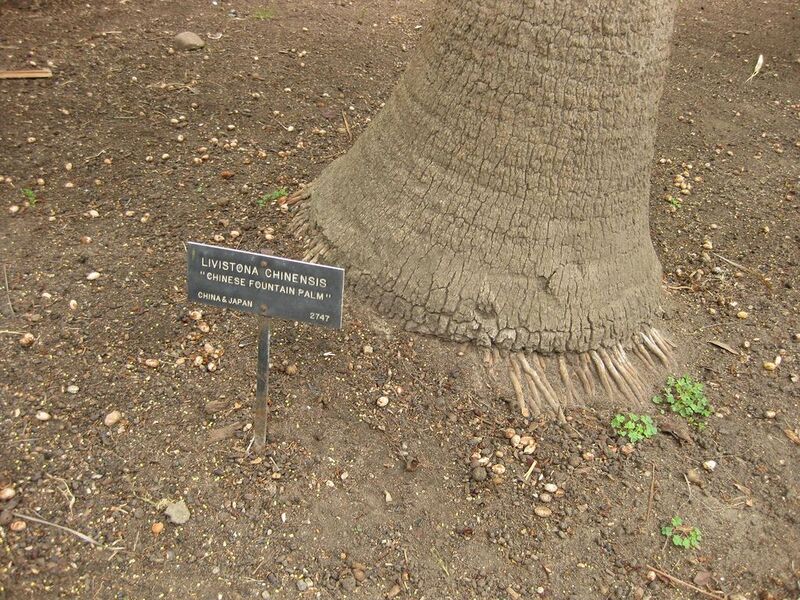 File:1024px-IMG 4069 hunt0904.jpg