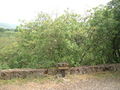 Thumbnail for version as of 12:45, 26 August 2007