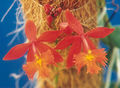 Thumbnail for version as of 11:29, 2 May 2007