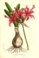 Thumbnail for version as of 07:13, 1 September 2007