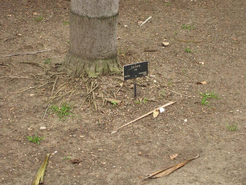 File:1280px-IMG 3890 hunt0904.jpg