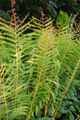 Thumbnail for version as of 19:42, 30 October 2007