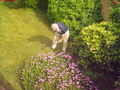 Thumbnail for version as of 15:35, 20 May 2007