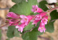 Thumbnail for version as of 16:06, 11 October 2007