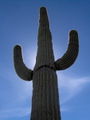 Thumbnail for version as of 14:50, 6 October 2007