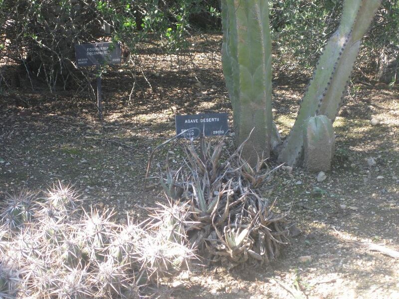 File:1024px-IMG 2456 hunt0903.jpg