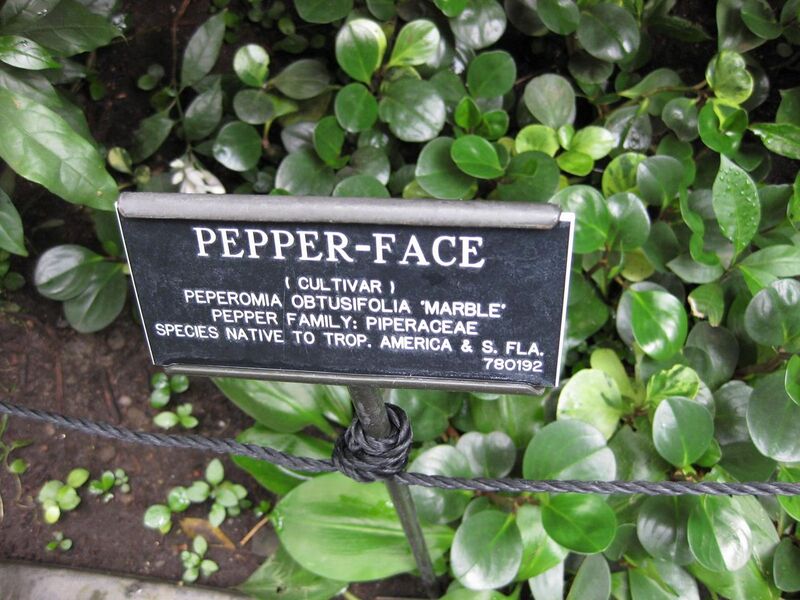 File:1280px-IMG 1167 bbg09.jpg