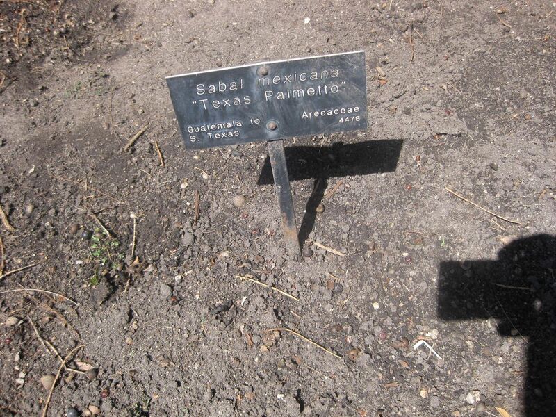 File:1280px-IMG 2113 hunt0903.jpg