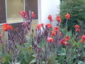 Thumbnail for version as of 16:56, 1 October 2007