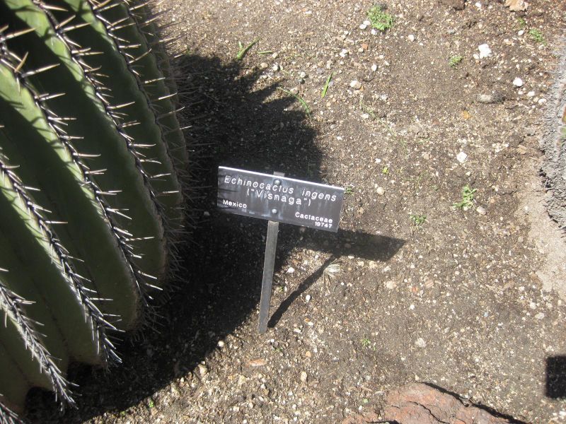 File:IMG 2218 hunt0903.jpg