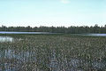 Thumbnail for version as of 21:29, 29 January 2008