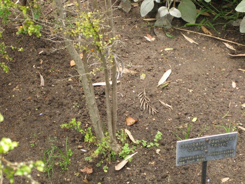 File:1280px-IMG 7259 hunt09jun.jpg