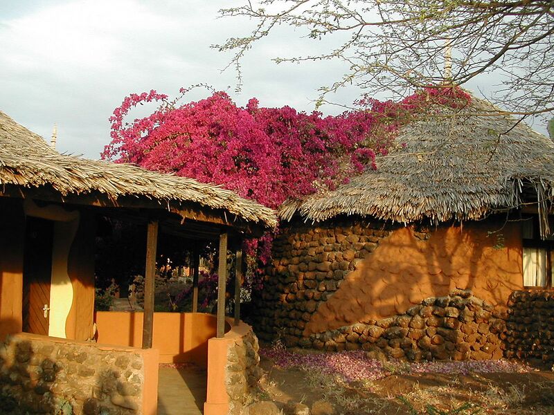 File:1280px-Safari 2005 lush bouganvilla.jpg