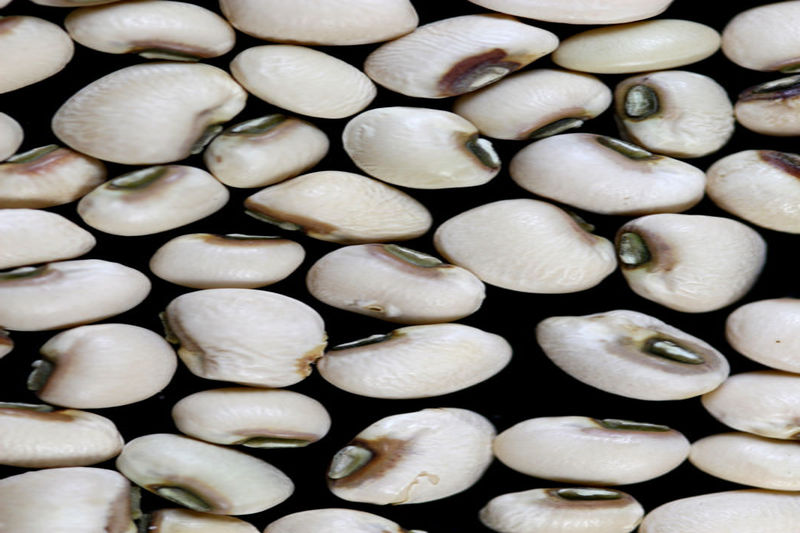 File:Black-eyed-pea.jpg