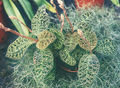 Thumbnail for version as of 12:29, 2 May 2007