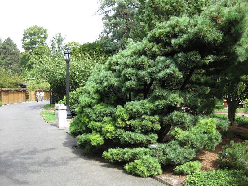 File:1024px-IMG 0695 bbg09.jpg