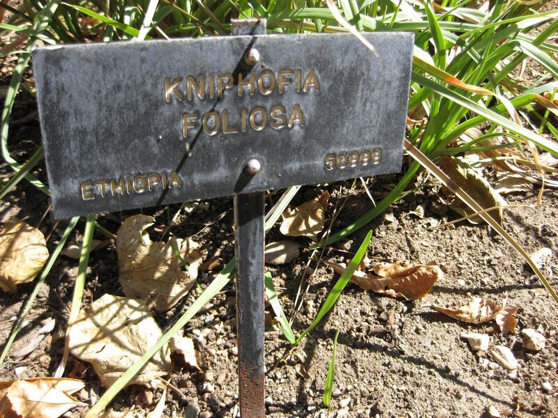 File:1280px-IMG 1918 hunt09oct.jpg