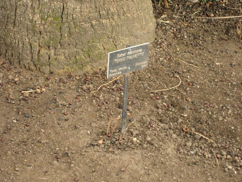 File:1280px-IMG 3974 hunt0904.jpg