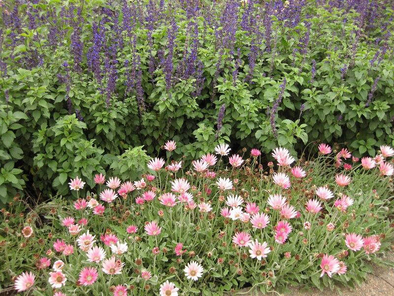 File:1280px-IMG 6849 hunt09jun.jpg