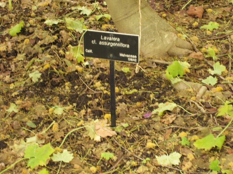 File:1280px-IMG 7022 hunt09jun.jpg