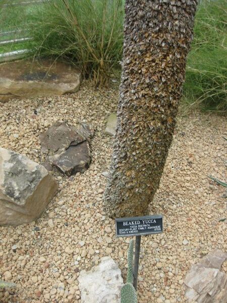 File:576px-IMG 1298 bbg09.jpg