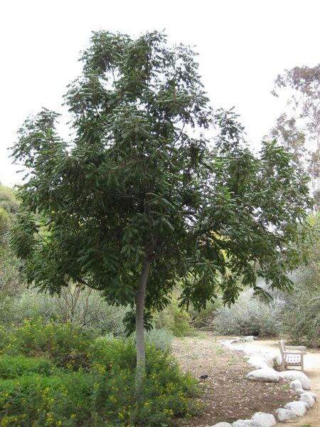 File:576px-IMG 4840 hunt0904.jpg