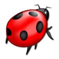 Thumbnail for version as of 15:14, 29 March 2009