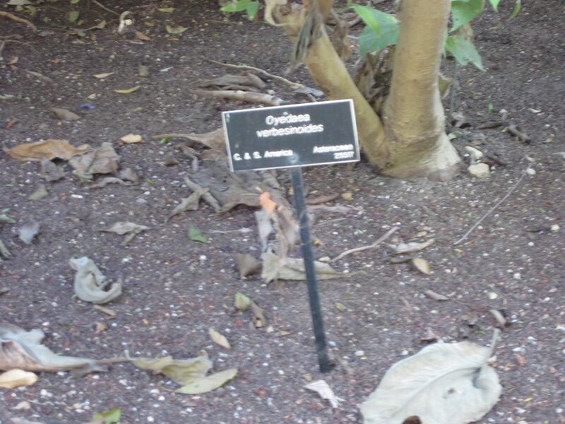 File:1024px-IMG 1975 hunt09oct.jpg
