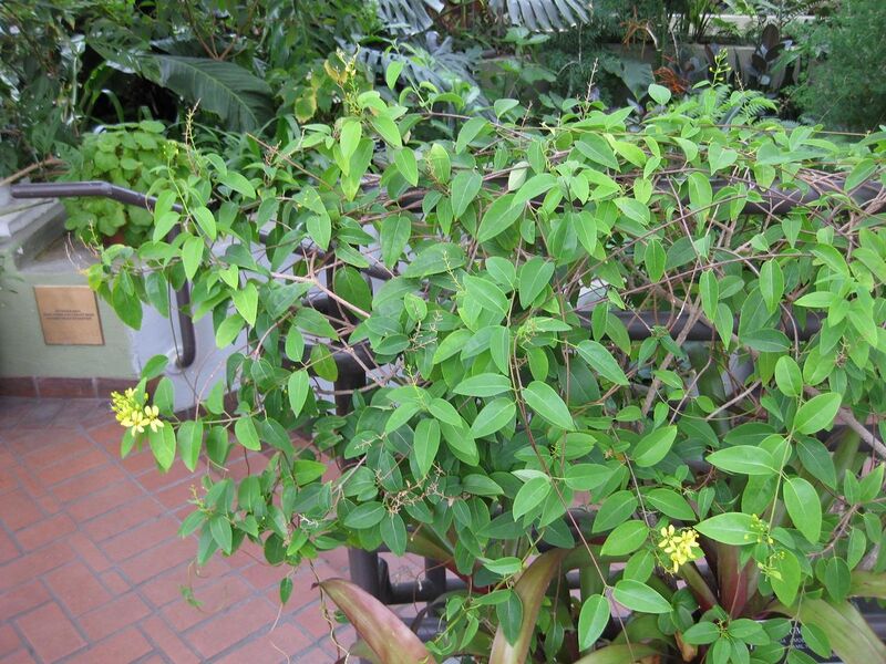 File:1280px-IMG 1306 bbg09.jpg