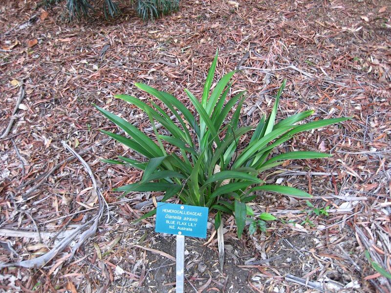 File:1280px-IMG 2614 ucla09.jpg
