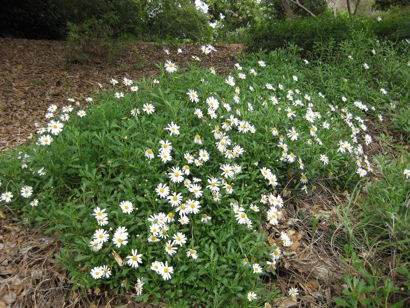 File:1280px-IMG 4944 hunt0904.jpg