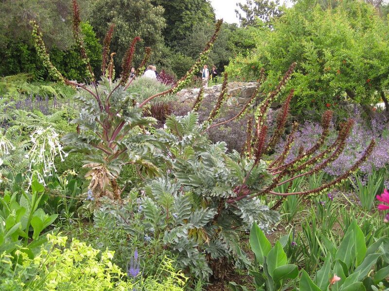 File:1280px-IMG 6863 hunt09jun.jpg