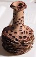 Woodworked Banksia grandis cone