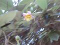 Thumbnail for version as of 10:33, 29 April 2025