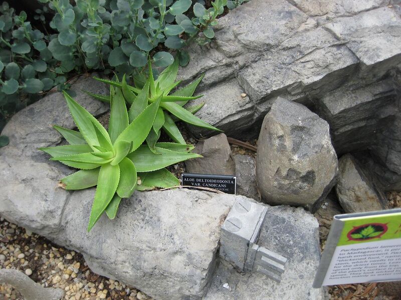 File:1280px-IMG 1258 bbg09.jpg